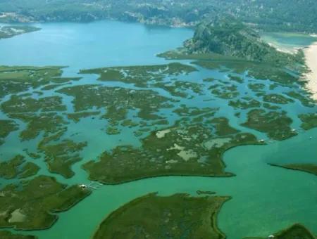 Dalyan Reiseführer: Iztuzu, Kaunos & Ausflugsziele