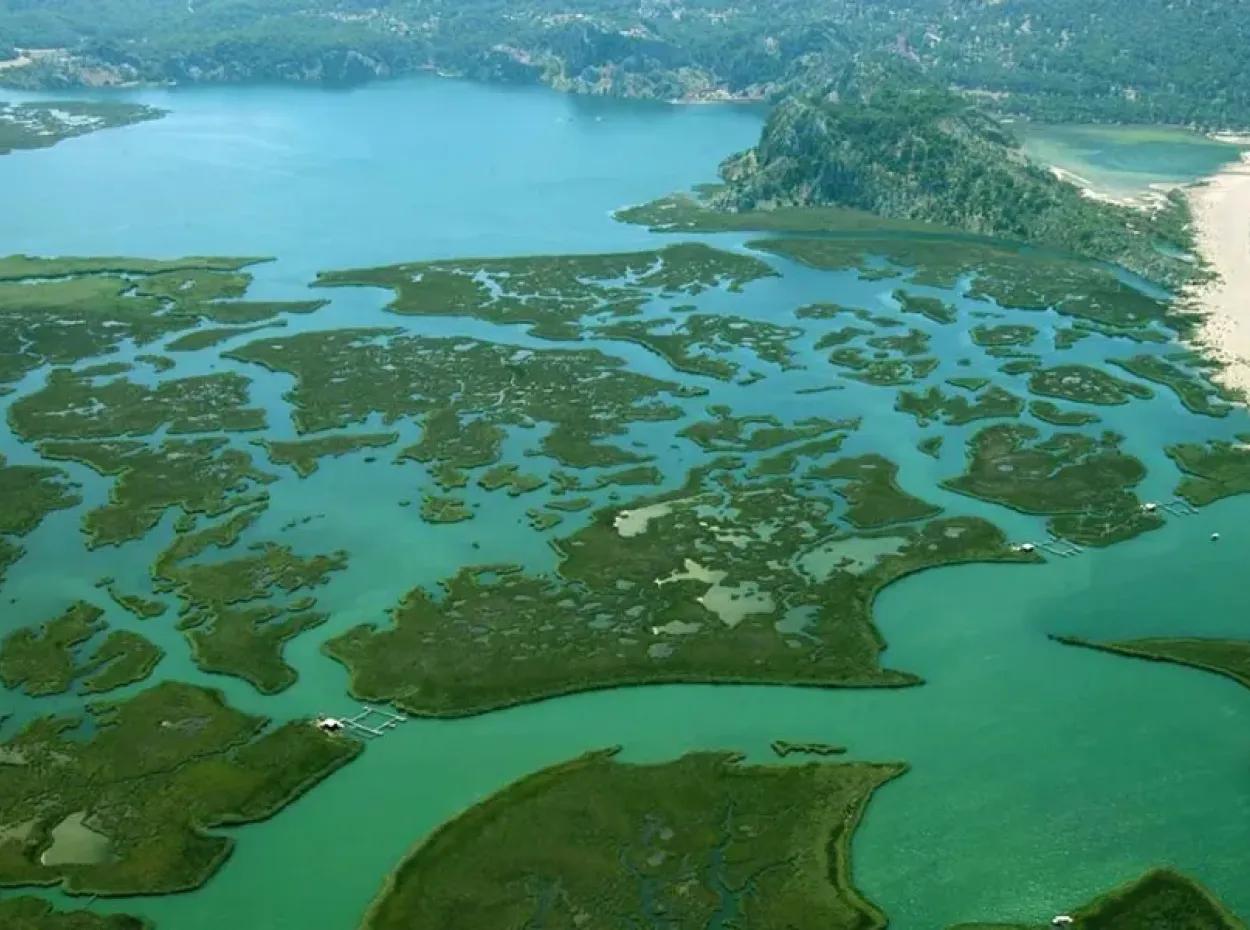 Dalyan Travel Guide: Iztuzu, Kaunos & Places To Visit
