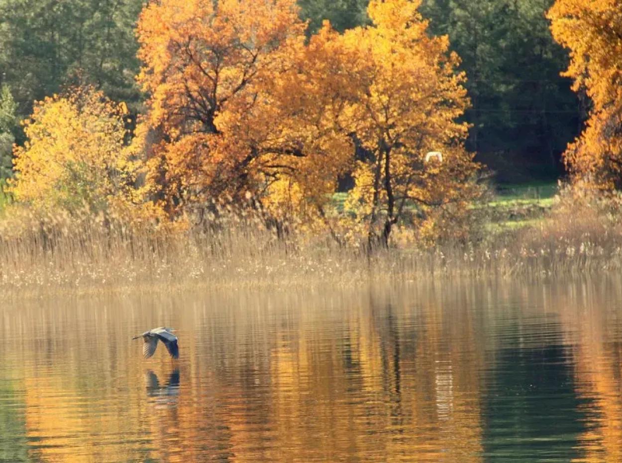 Dalyan Fotoğrafları | İztuzu, Kaunos Ve Doğa