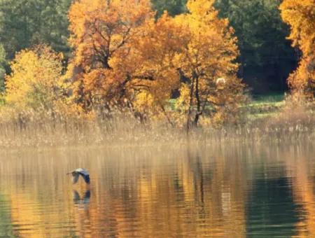 Dalyan Fotoğrafları | İztuzu, Kaunos Ve Doğa