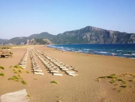 Dalyan Aktiviteleri